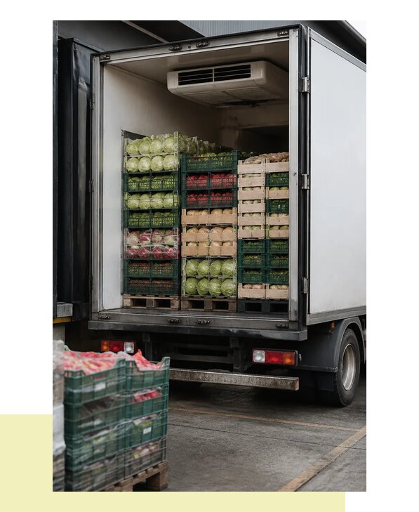Перевозка плодоовощной продукции оптом напрямую в Реутов