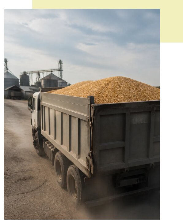 Перевозка сельхозпродукции навалом в Реутов по цене от 3122 р. | Агросервис-Ртв