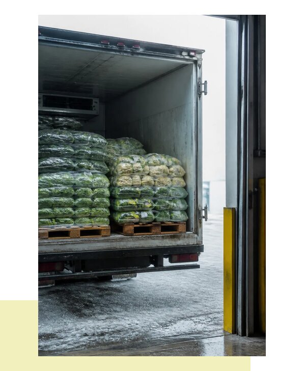 Перевозка замороженных овощей в Реутов автотранспортом