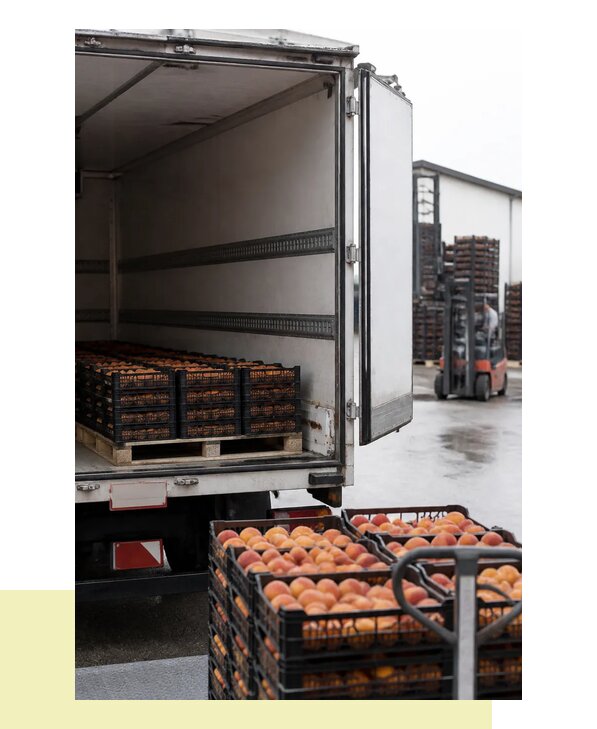 Перевозка персиков в Реутов с гарантией сохранности груза